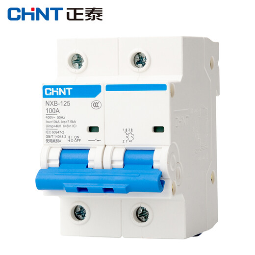 正泰 NXB-125-2P-C100 空气开关 过载空开小型断路器  DZ47升级款2P C100