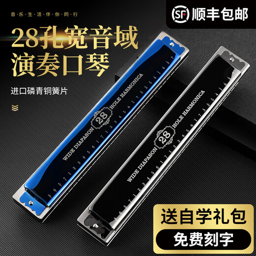 德国进口音簧28孔复音C调重音口琴演奏级初学者学生入门送礼珍藏版天鹅乐器 【音标款】28孔重音C调黑色+自学礼包+视频教程