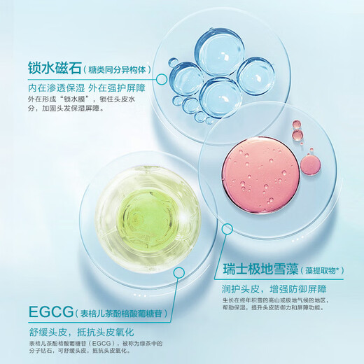 JD.com Ölkontrolle Vitalität Männermorgen Rhythmischer Duft Shampoo 500 ml Linderung Juckreiz und Entfernen Sie Öl für lange Zeit und hinterlassen Sie Duft, erfrischend und sanft