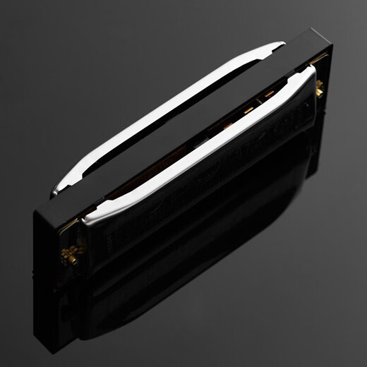 HOHNER harmonica imported from Germany and imported SP20 blues 10 ten-hole harmonica for adults to play, children and beginners to use
