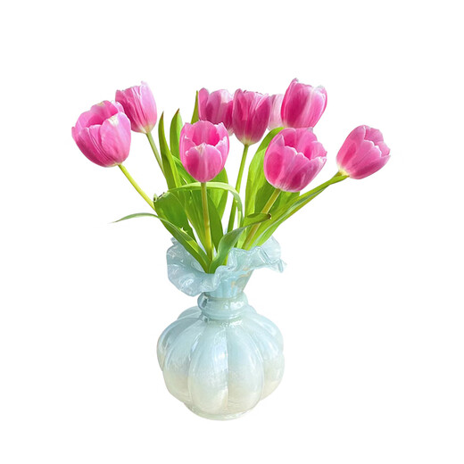 Sweet and Romantic Domestic Tulips 10 Random Colors