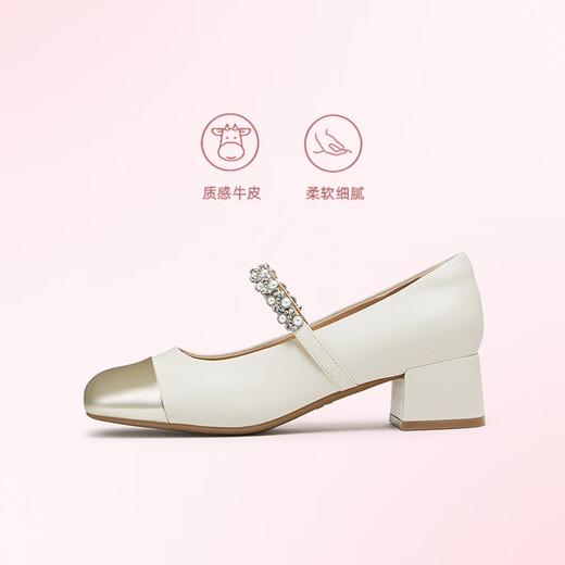 Tianmeiyi Chaussures Chaussures pour femmes Mall Talon épais Français rétro Single chaussures Mary Zhen Shoes Spring and Automn Style BJ761CQ4 Silver 36