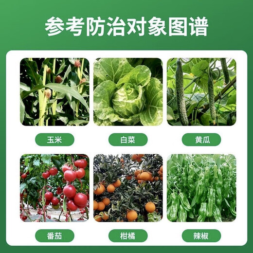 Guoguang Youlehong 8% ethylamine regulates growth and increases yield, plant growth regulator, ripening agent, ripening agent 200 ml/1 bottle