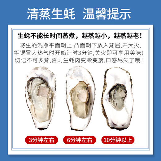 Popular Rushan Oysters, Fresh Oysters, Extra Large Seafood Oysters, 5 Jin Jin is equal to 0.5 kg, whole box of fresh oysters, 4 Jin Jin is equal to 0.5 kg, 3XL size, 10-16 pcs