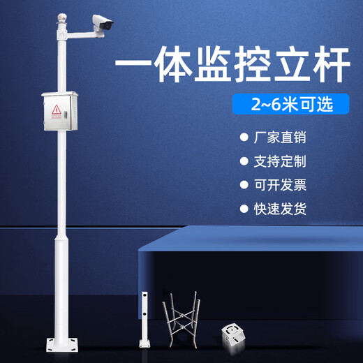 利瑞捷 监控杆4米加厚款