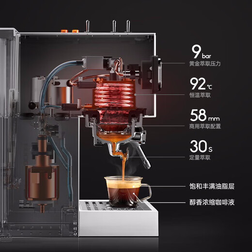 Baicui Kaffeemaschine Dual-Kessel Doppelwasserpumpe Haushalt Retro Full Semi-Auto Italienische Kaffeemaschine mit Dampfmilch Schaum kleiner All-in-One