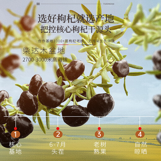 福东海 黑枸杞250克【大果皇】青海柴达木诺木洪黑果枸杞子 养生茶