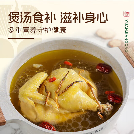 Yuanjiang Grass Cordyceps sinensis Nouveaux toniques cordyceps séchés pour les parents et les anciens Boîte-cadeau haut de gamme 3 bâtons / g 10 grammes [boîte cadeau à chaud]