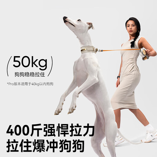 Weike GO dog leash, dog leash, dog leash, dog leash, p chain, p rope, large, medium and small dog with light model