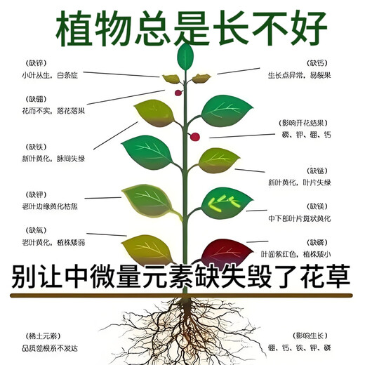 5 Jin Jin equivale a 0,5 kg Abono medio y oligoelementos Calcio Magnesio Azufre Hierro Zinc Boro Cobre Molibdeno Manganeso Cloro Abono foliar hidrosoluble Abono compuesto para frutas y verduras Abono medio oligoelementos 1,5 Jin Jin equivale a 0,5 kg Abono para jardinería