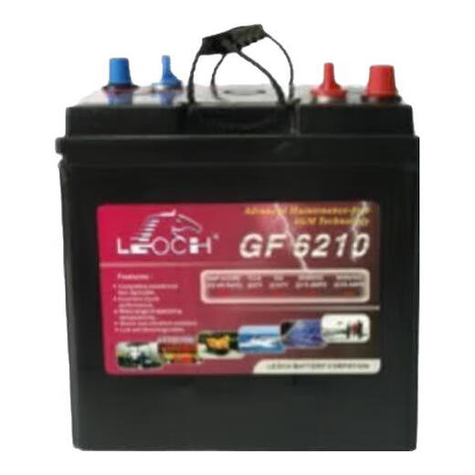 RIS -Batterie DGF6210 DGF6240 DGF6260 DGF8140 DGF12140 6V210 8V140AH DGF12140