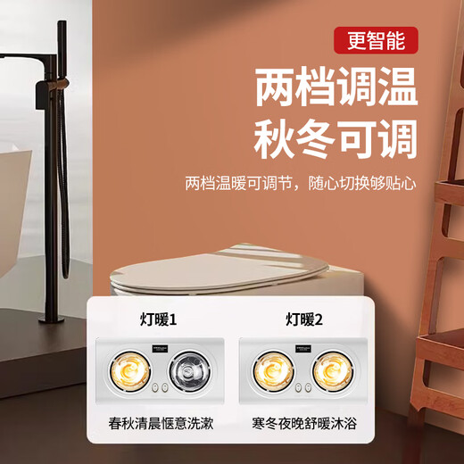 Royalstar Bath Heater Light Warming Lighting Exhaust All-in-one Machine 2025 New Bathroom Heater Bathroom Bulb Bath Heater Light Economical High Heat Silver Double Lamp Model
