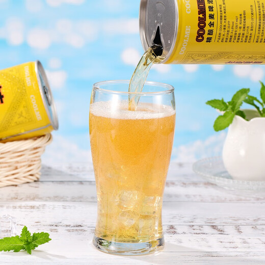 Coolme Vollkornwäsche Craft Beer, probieren Sie 1L Party Wein