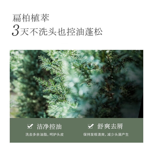 浅香（ASAKA）洗发水男女士去屑控油洗发露氨基酸洗头膏去油洗头水持久留香750g