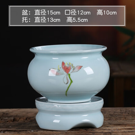 Yuxuantang Celadon Sukkulente Phalaenopsis Spezialblütenblüte mit Basis großgrößen Keramik Lazy Simple Spider Plant Orchidee Bonsai yy Pink Pflaumen Grün 719+ Lazy Base
