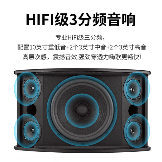 HYUNDAI现代专业会议室音响设备套装蓝牙功放培训教室舞蹈室家庭KTV背景音乐系统壁挂音箱 【两音响/四鹅颈】会议音响套装（50-120平）