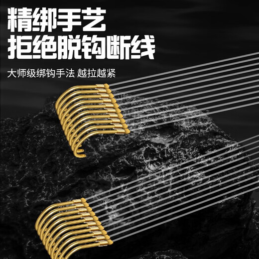 Haidi 40-Pay-importiertes Goldhülsendraht Double Haken Stachelbrotem Fischhaken Set Special für Karpfen und Kreuzkarpfen. Goldhülsenstachel [Haken 5/6+ Linie 1.0/1,2 je 20
