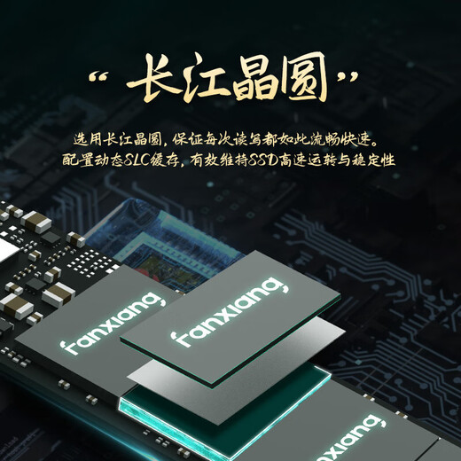 Fanxiang S500PRO/S690/S790 Solid State Drive M.2 NVME Desktop PS5 Laptop SSD PCIE4.0 S790 2TB PCIE4.0 Flaggschiff Standard: Kühlkörper + Schrauben- + Schraubendreher