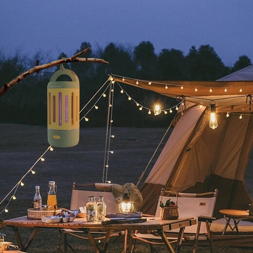 Scarlett Star Outdoor Lighting Mosquito Killer Lamp Picture Color SKD-M0117