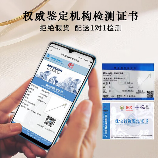 Enchanting Cat S925 sterling silver Hotan jade hairpin, ancient style hairpin, new Chinese style hairpin, ladies birthday gift, practical for girls, Dielian flower hairpin + Hotan jade earring set