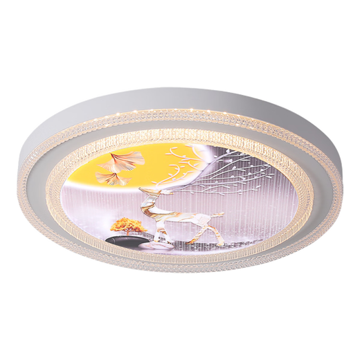 Jihuo Lampe de Chambre Nouvelle Célébrité Internet LED Plafonnier Lampe de Chambre Ronde Lampe de Chambre Principale Moderne Simple Restaurant Lampe d'étude Xiaolu Diamètre 50CM Trois Couleurs 36 Watts