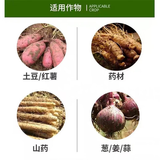 Choline chloride 60% garlic, ginger, onion, sweet potato, peanut, potato, ginseng medicinal material, ginger underground rhizome enlarging agent 10ml