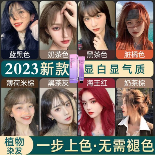 蒙倩（Meng Qian）网红流行色可盖黄白发自己染理发店专用染发膏黄头发蓝色染发剂 C677黑茶色+9度双氧+工具(可盖黄 200mL