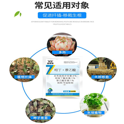 Senhuo Kuaishenghe Zheng's Chemical 2% Indobutane Acetic Acid Quick Rooting Rooting Powder Garden Fruit Trees Potted Succulent Flowers Universal Cuttings and Transplanting Compound Rooting Agent 500g/bag*1 bag