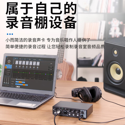 DepushengDepusheng UR22 mobile computer live broadcast sound card USB recording professional post-dubbing arranger and delivery anchor audio book guitar instrument external sound card UR22 professional sound card