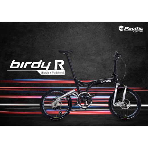 2022 new birdy bird bike BirdyR20 high speed 406 disc brake folding bicycle ScotchBrghtBlack brushed silver black standard model 20 inches