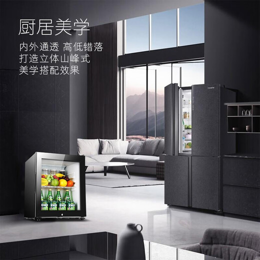 SAST ice bar refrigerator European style constant temperature wine cabinet office hotel home refrigerator mini small single door gaming tea preservation cabinet display sample beverage medicine cabinet 50 liters black (fully refrigerated preservation + lock)