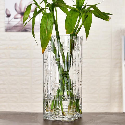 Stone tree thickened large rich bamboo dragon bamboo transparent glass vase hydroponic water cultivation fresh dried flowers living room flower arrangement floor vase diameter 15 height 40CM bamboo tube thickened and heavier