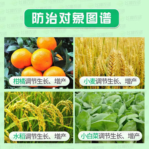 Shuofeng 481 Shuofeng 481 Flower Fruit Brassinolide Antidote for Flowers, Fruits and Vegetables Plant Growth Regulator 1000ml