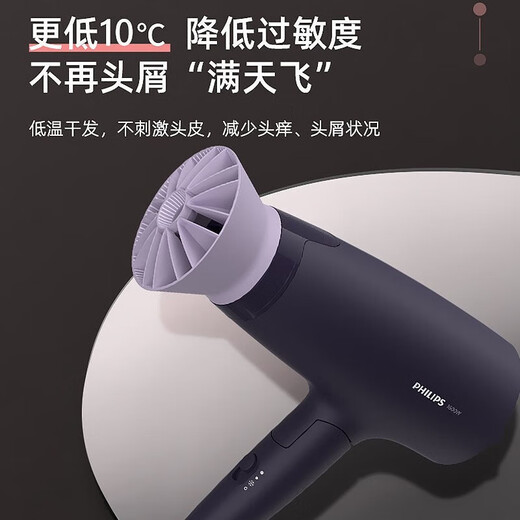 Philips (PHILIPS) hair dryer household hair dryer constant temperature quick-drying high-power hair dryer handle foldable hair dryer BHD318/05