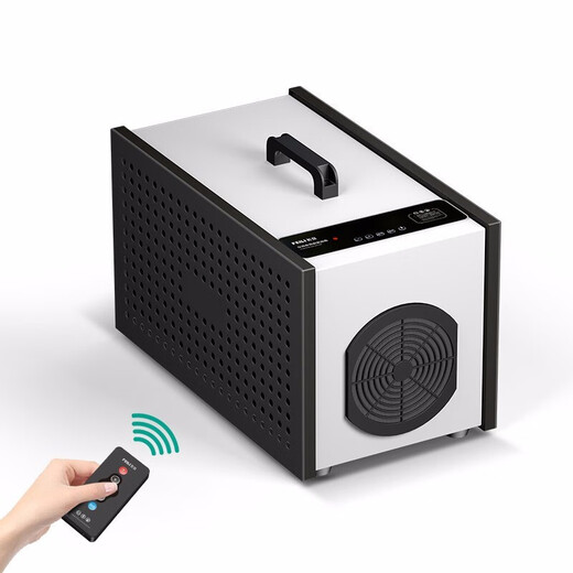 Feili Ozone Generator Food Factory Workshop Animal Husbandry Air Sterilization Deodorization Machine B805N 5g Ozone 100