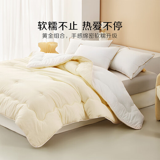 百丽丝家纺 豆泡泡抗菌被 豆泡泡抗菌冬被 150cm×210cm
