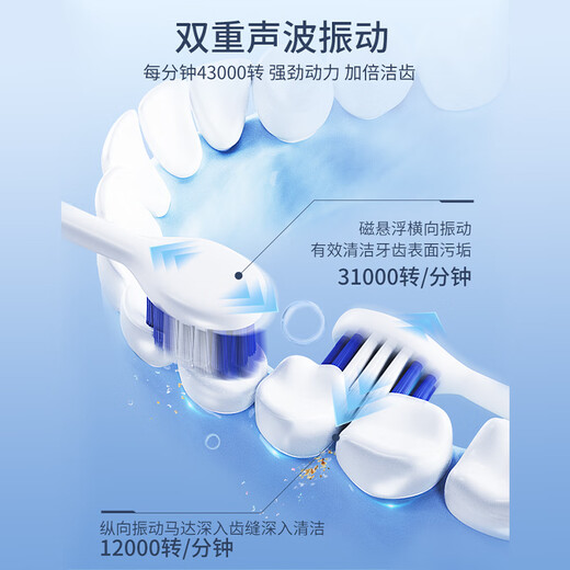 松下（Panasonic）Panasonic EW-DP55-A 进口电动牙刷 双重声波振动 成人五档刷牙模式 情侣款 蓝色