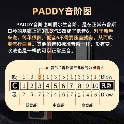 东方鼎（EAST TOP）布鲁斯口琴10孔嵌入式亮黑色盖板灰色塑盒T009 PADDY C调初学推荐