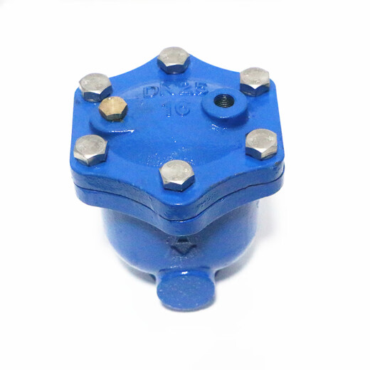 Válvula de escape Micro Emike 9708 Piezas interiores de acero inoxidable de hierro fundido Descarga automática WP1x equipado verticalmente con escape general 15-50 1.5 pulgadas Válvula de escape DN40