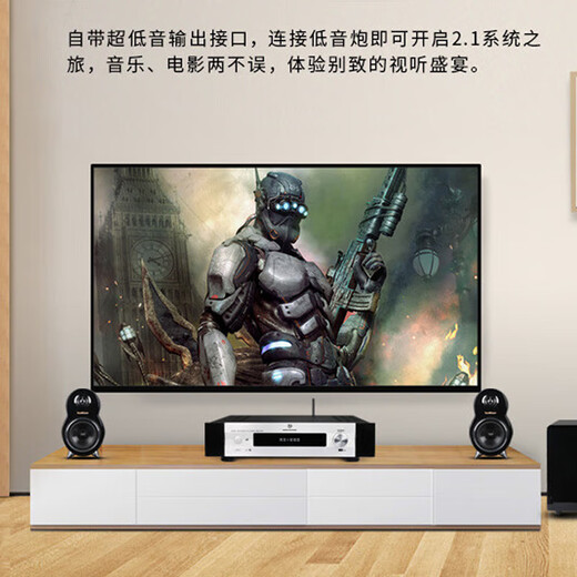 天逸（Winner）AD-66DPRO超甲类合并一体机数字功放机大功率发烧级家用高保真hifi功放音响套装 AD-66DPRO+达尼博睿3