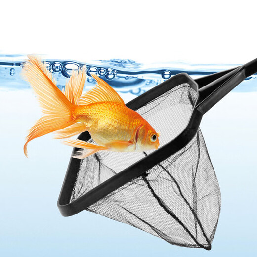 Yuduoqu small fish tank fishing net (length 35cm) fishing net bag square fish fishing hand copy net fish farming supplies