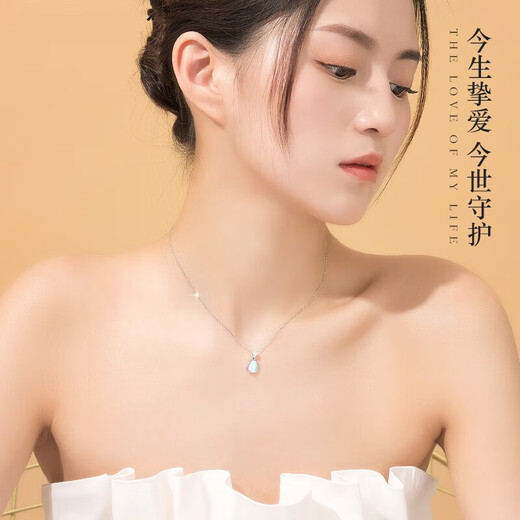 MZMZ moonstone platinum necklace women's fashion pt950 platinum clavicle chain Valentine's Day birthday gift for girlfriend jewelry light luxury model-Rupert Necklace