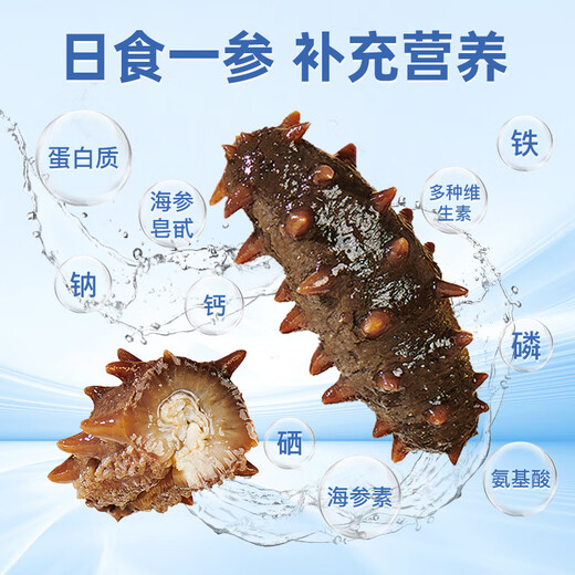 Liao Cucumber Dalian Organic Frozen Sea Cucumber 1Jin Jin is equal to 0.5 kg 19-21 pieces non-ready-to-eat OCC flagship store independently packaged authentic