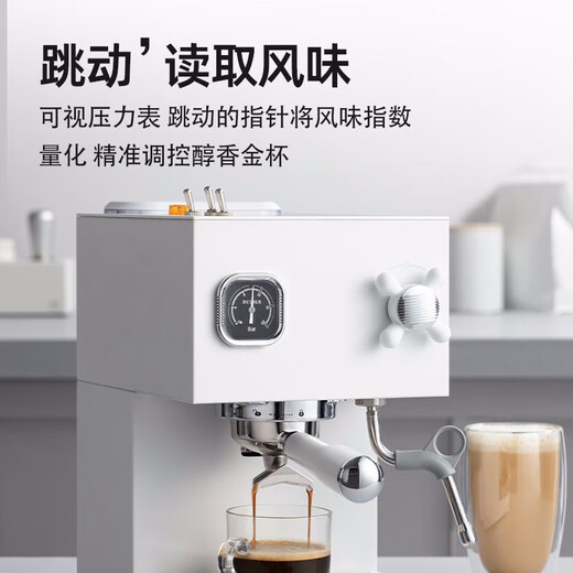 Baicui Kaffeemaschine Dual-Kessel Doppelwasserpumpe Haushalt Retro Full Semi-Auto Italienische Kaffeemaschine mit Dampfmilch Schaum kleiner All-in-One