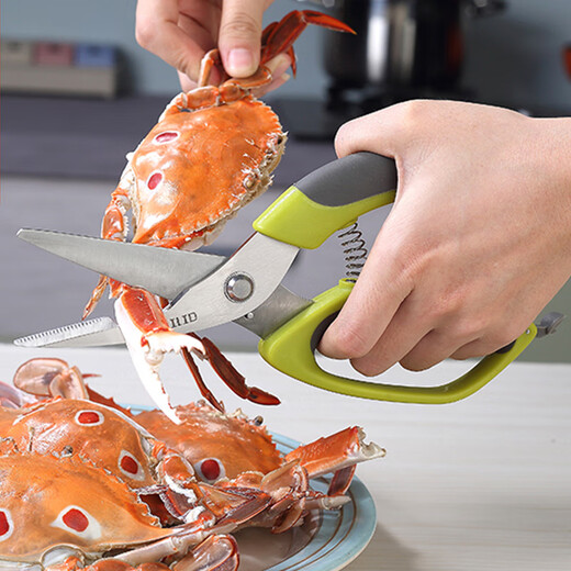 ILID Ciseaux de cuisine multifonctions pour usage domestique, grands ciseaux à os de poulet en acier inoxydable, ciseaux à écailles de poisson pour gratter les noix, ciseaux ménagers pour couper la viande et tuer le poisson, ciseaux de cuisine multifonctions (gris)