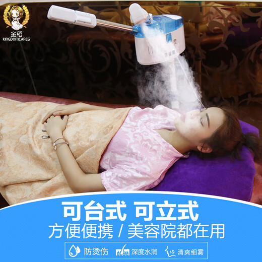 Jindao Facial Steamer Hot and Cold Dual Spray Facial Steamer Hot Spray Facial Steamer Beauty Salon Special Sprayer Facial Humidifier Hydrating Sprayer Household Hot Spray and Cold Spray Facial Steamer White Upgraded Model