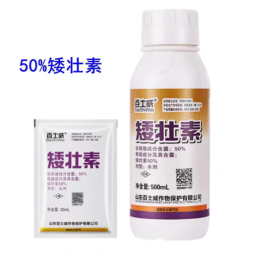 Dwarf dwarf narcissus flower dwarf dwarfing agent dwarf dwarf dwarfing agent dwarf dwarf dwarf dwarf dwarf dwarf dwarf dwarf dwarf dwarf dwarf dwarf dwarf dwarf dwarf dwarf dwarf dwarf dwarf dwarf dwarf dwarf dwarf dwarf dwarf dwarf dwarf dwarf dwarf dwarf dwarf dwarf dwarf dwarf dwarf dwarf dwarf dwarf dwarf agent 30ml