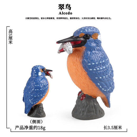 梓嘉福仿真动物模型玩具飞禽鹦鹉老鹰鸵鸟孔雀火烈鸟鸽子翠鸟小摆件 Ox-1421食火鸟