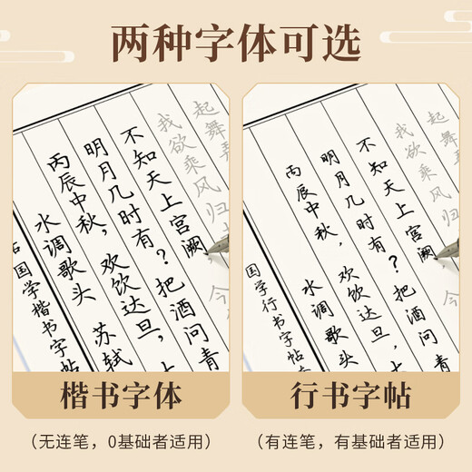 Liupintang 10-pack pen calligraphy practice calligraphy adult cursive set hard pen calligraphy copying practice calligraphy regular script student copybook Chinese classics