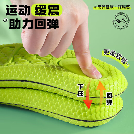 邦尼世家2双装运动鞋垫男高弹减震抗菌站久不累吸汗透气夏季
